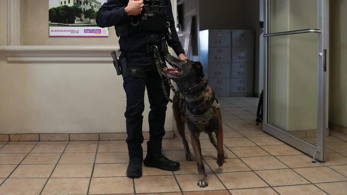 Mika - K9 - Agente Rivera