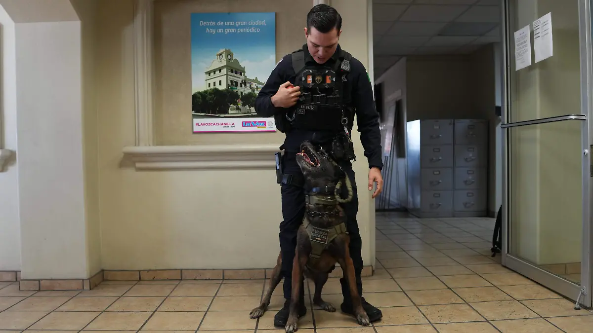 Mika - K9 - Agente Rivera