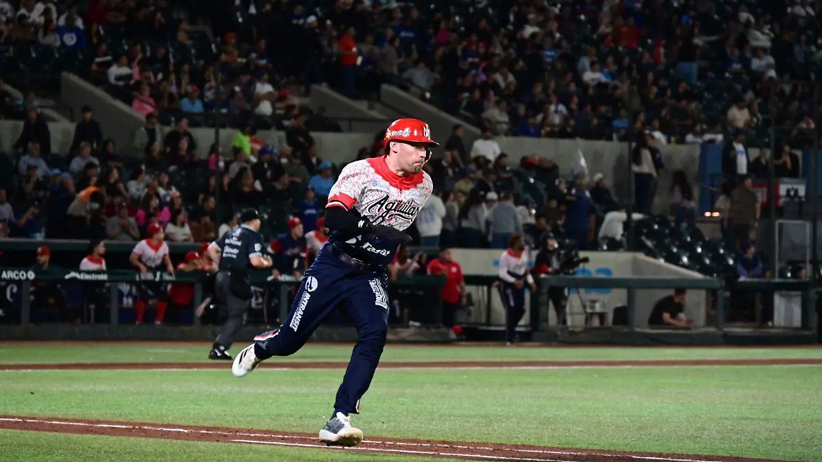 WhatsApp Image 2026-01-03 at 12.13.15 AM