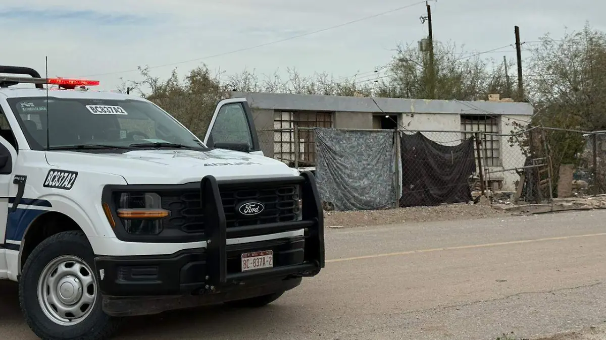 WhatsApp Image 2026-01-03 at 3.13.57 PM