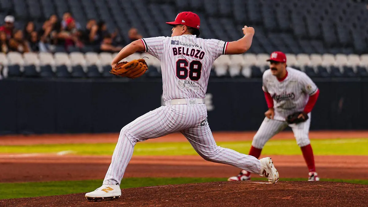 WhatsApp Image 2026-01-03 at 2.52.57 PM