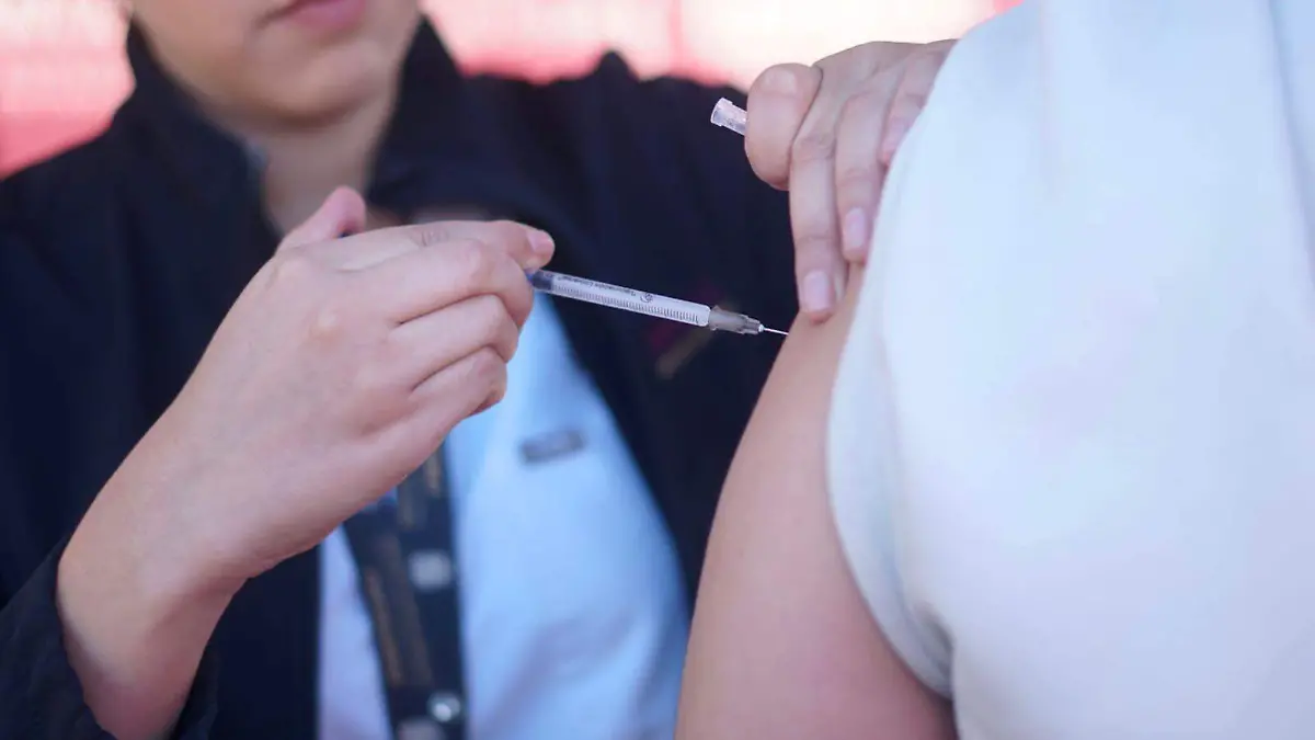 WhatsApp Image 2026-01-05 at 3.15.00 PM