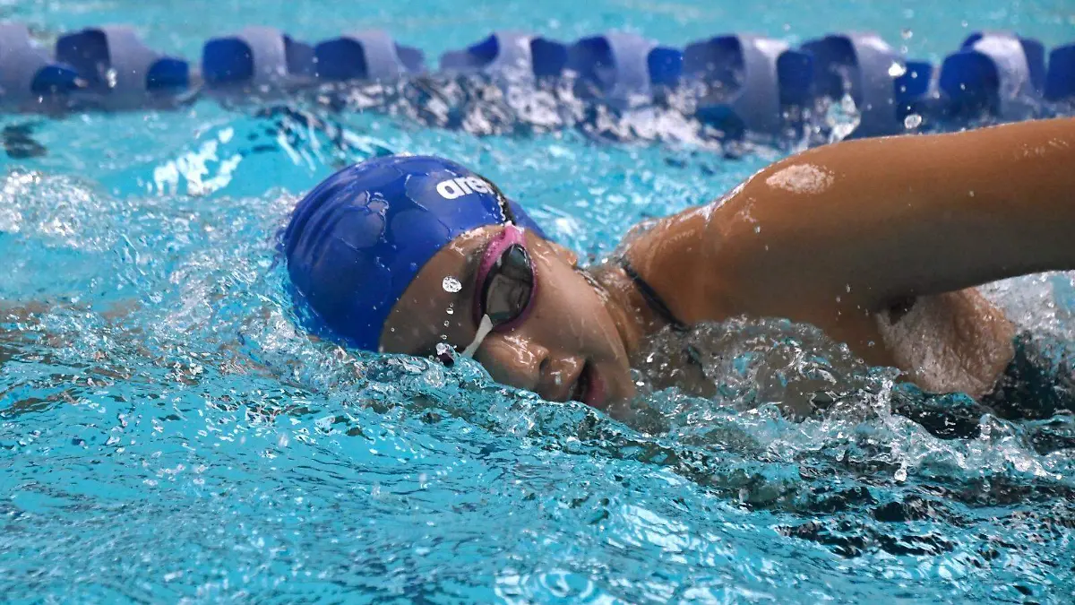 WhatsApp Image 2026-01-05 at 1.52.58 PM