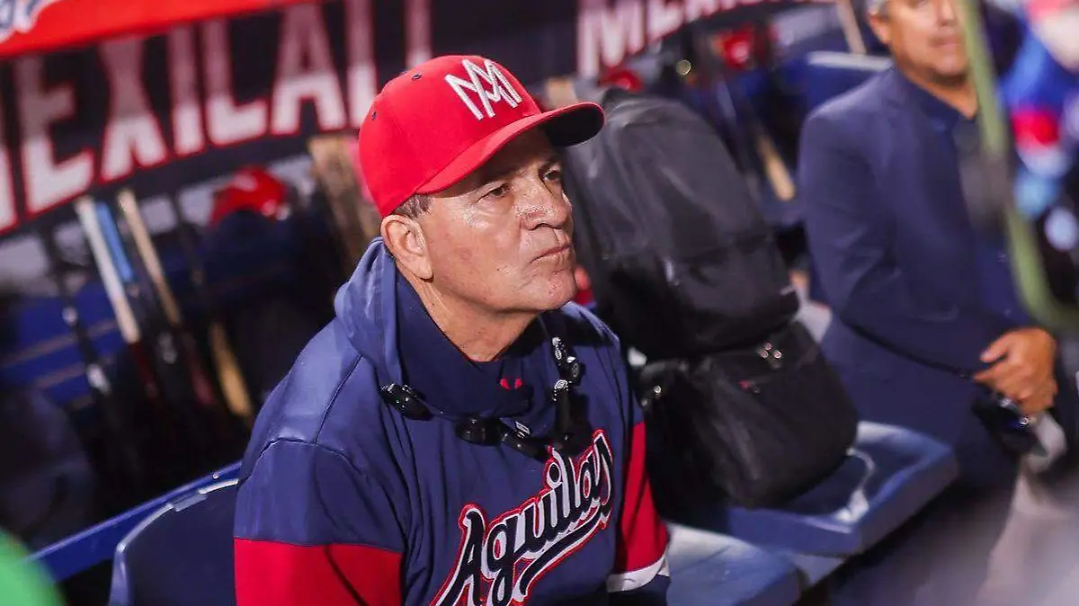 WhatsApp Image 2026-01-06 at 3.44.47 PM