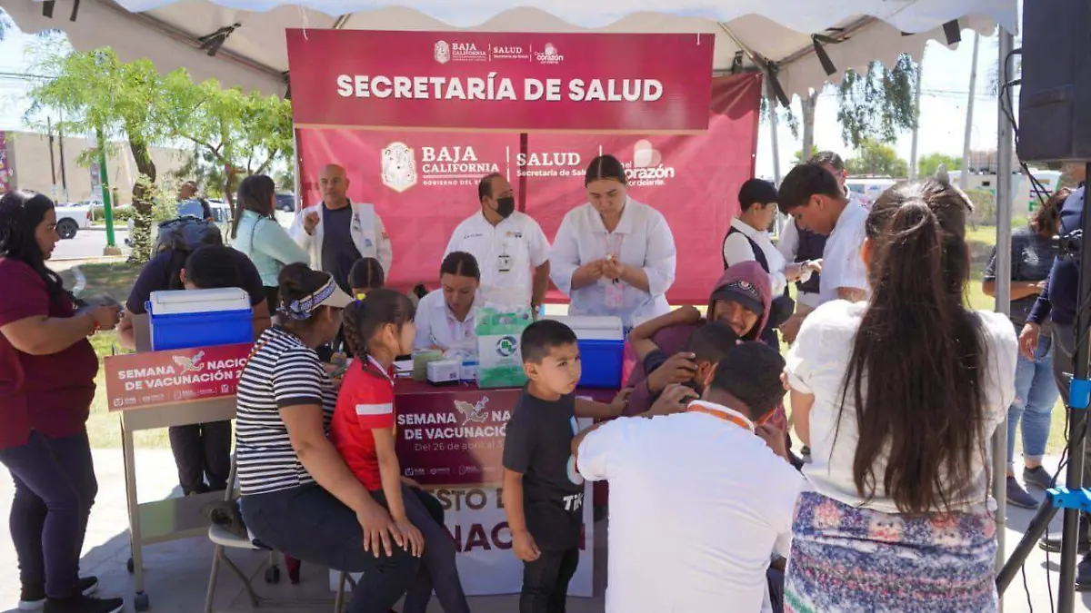 WhatsApp Image 2026-01-06 at 5.00.03 PM