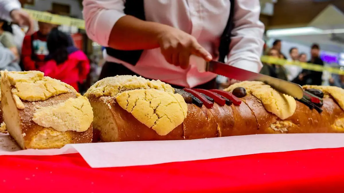 WhatsApp Image 2026-01-06 at 3.19.29 PM