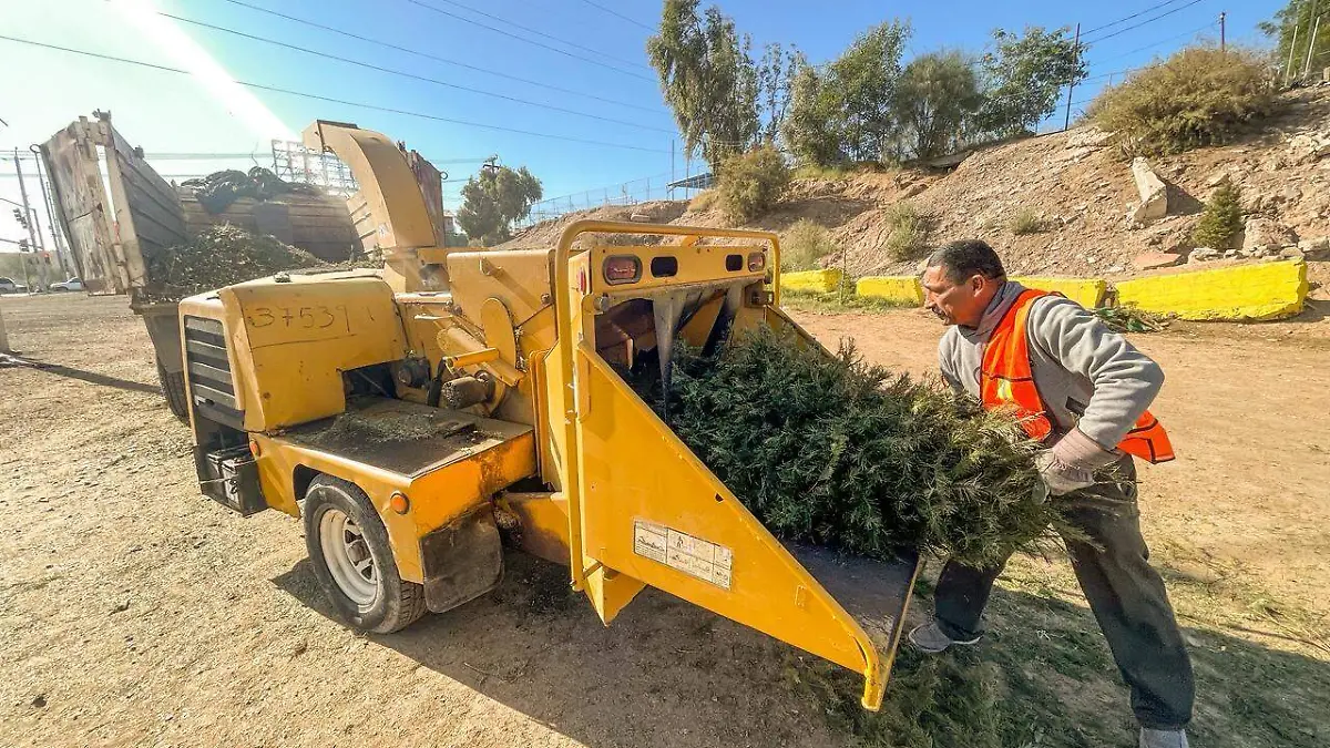 WhatsApp Image 2026-01-08 at 4.55.45 PM (1)