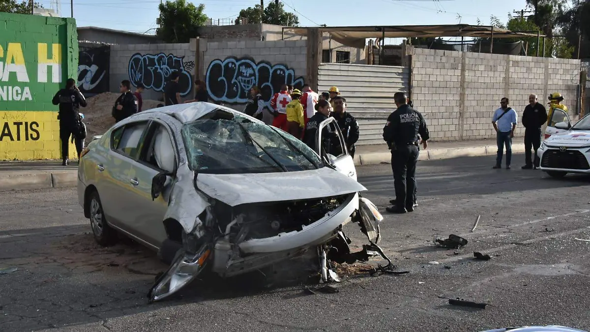 WhatsApp Image 2026-01-08 at 3.45.37 PM