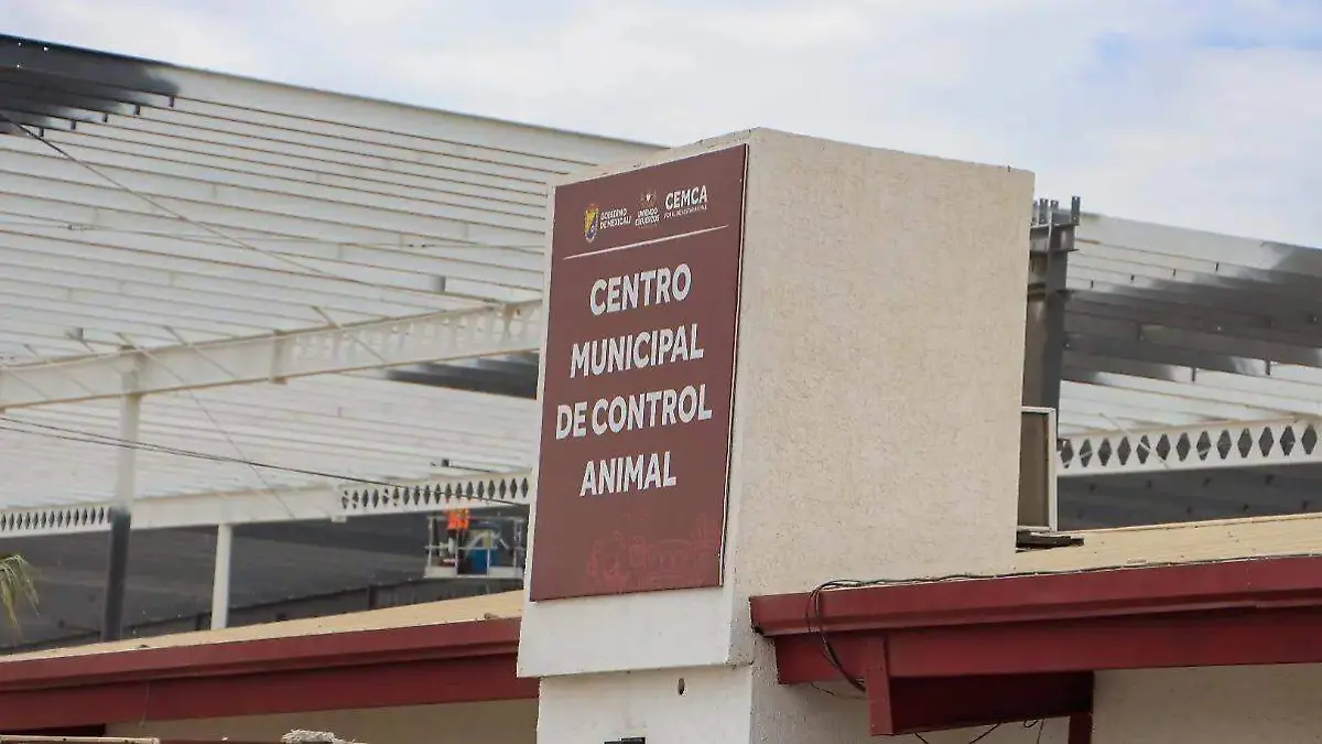 WhatsApp Image 2026-01-10 at 7.10.19 PM