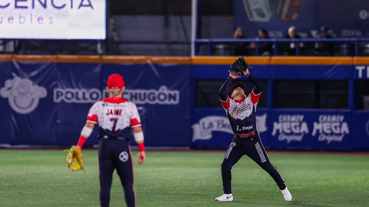 WhatsApp Image 2026-01-12 at 8.49.19 PM (1)