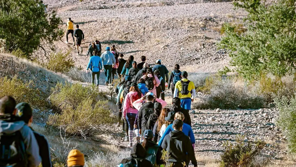 WhatsApp Image 2026-01-13 at 2.12.17 PM