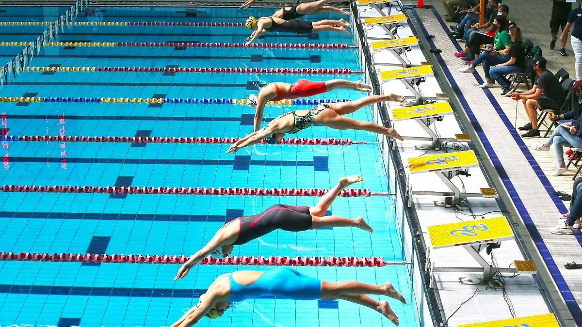 WhatsApp Image 2026-01-13 at 5.18.06 PM (1)