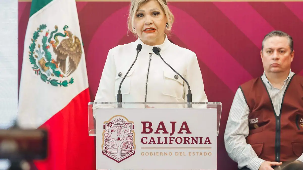 WhatsApp Image 2026-01-14 at 10.58.41 AM