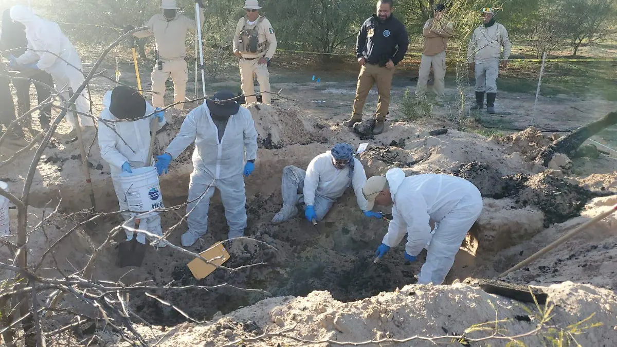 WhatsApp Image 2026-01-14 at 5.56.00 PM