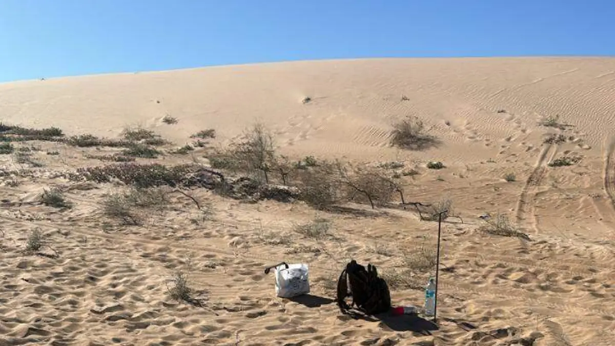 WhatsApp Image 2026-01-15 at 11.00.32 AM