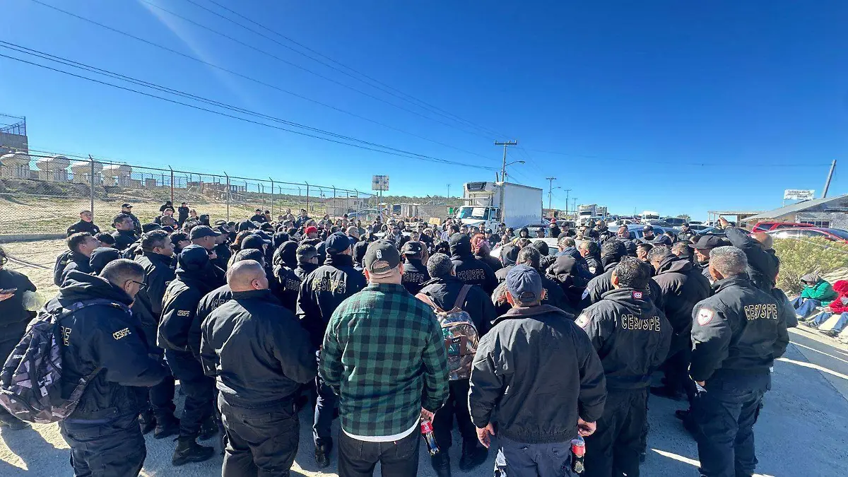 WhatsApp Image 2026-01-15 at 2.31.29 PM