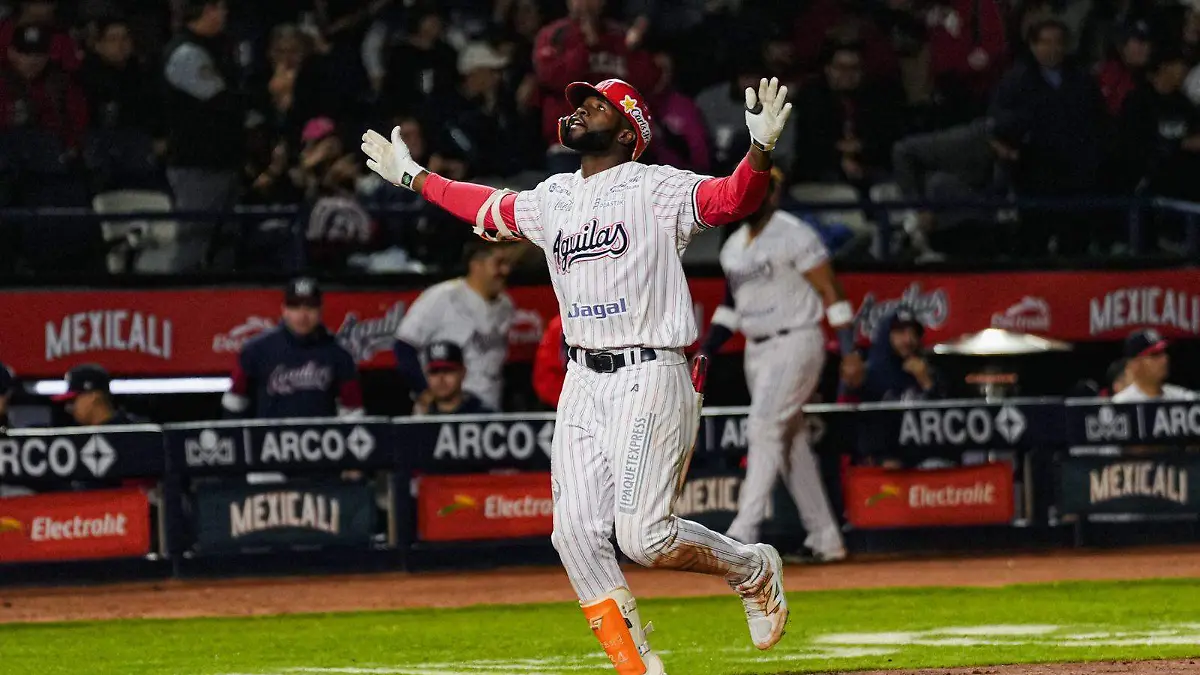 WhatsApp Image 2026-01-15 at 10.51.14 PM