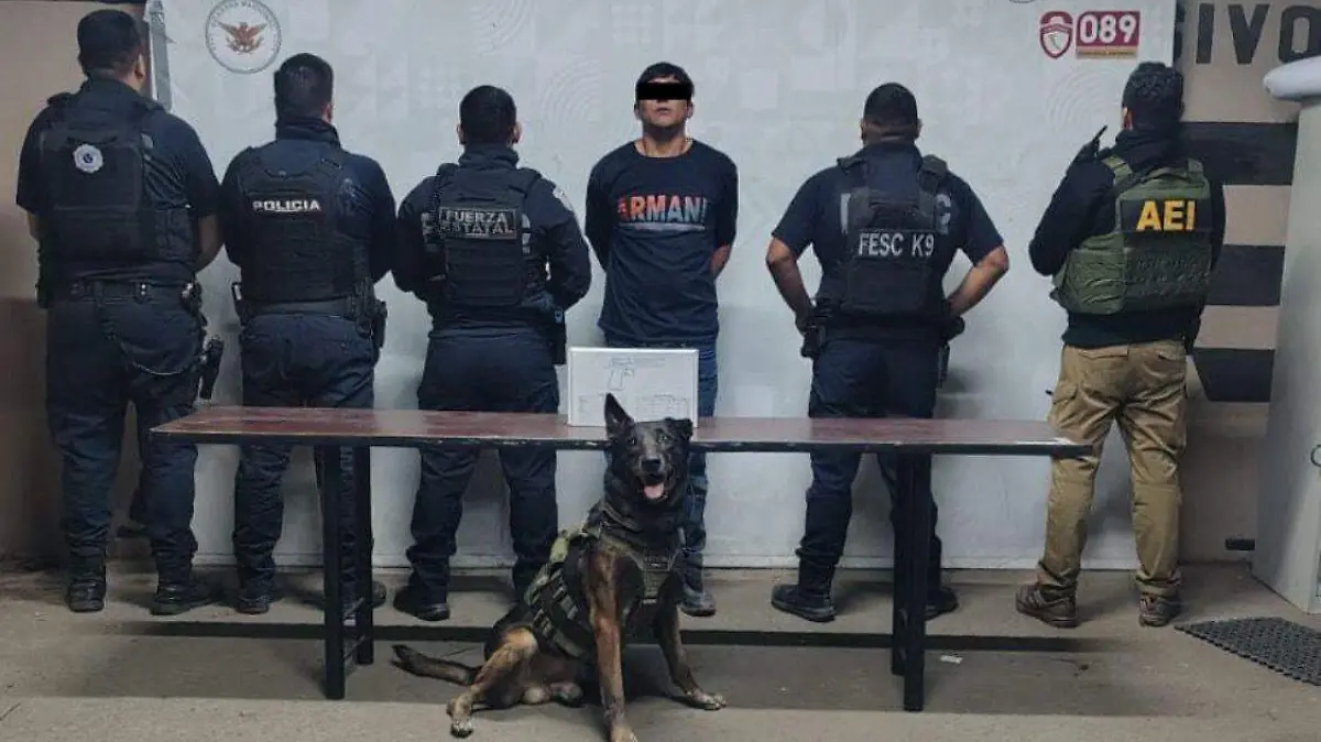 3f150184-a2eb-4725-93d9-9d48525ac205