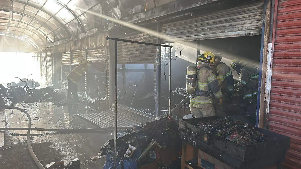 WhatsApp Image 2026-01-16 at 9.20.20 AM