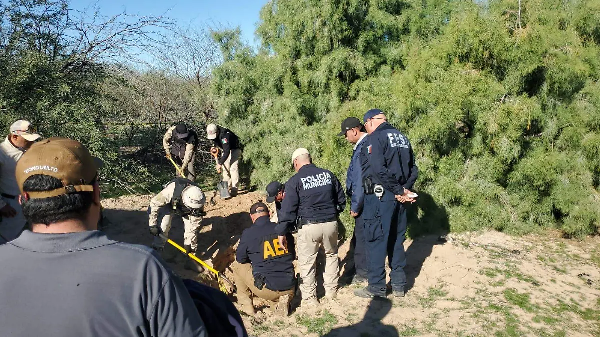 WhatsApp Image 2026-01-16 at 7.24.40 PM