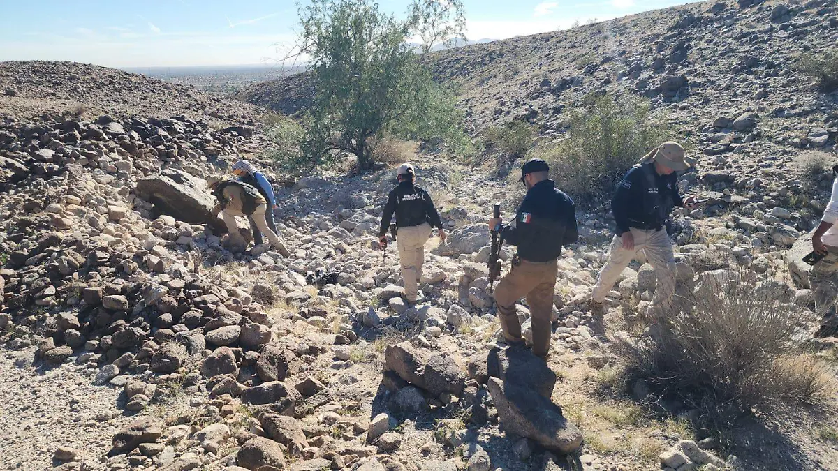 WhatsApp Image 2026-01-19 at 10.55.29 AM