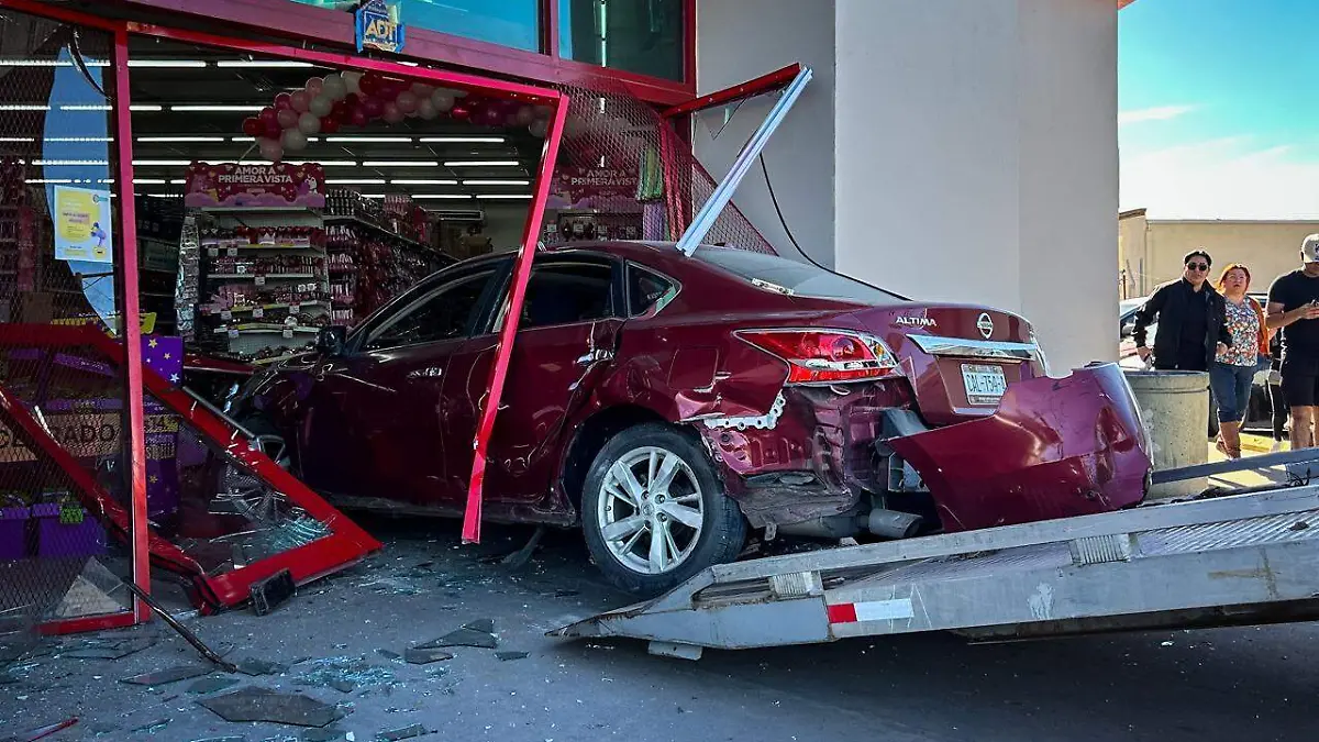 WhatsApp Image 2026-01-19 at 12.13.56 PM