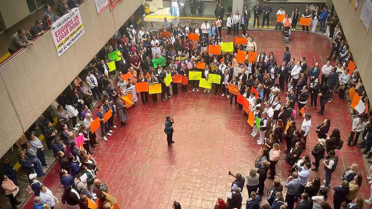 WhatsApp Image 2026-01-19 at 11.15.50 AM