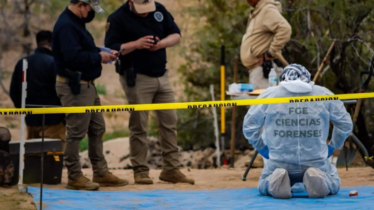 WhatsApp Image 2026-01-21 at 4.50.53 PM