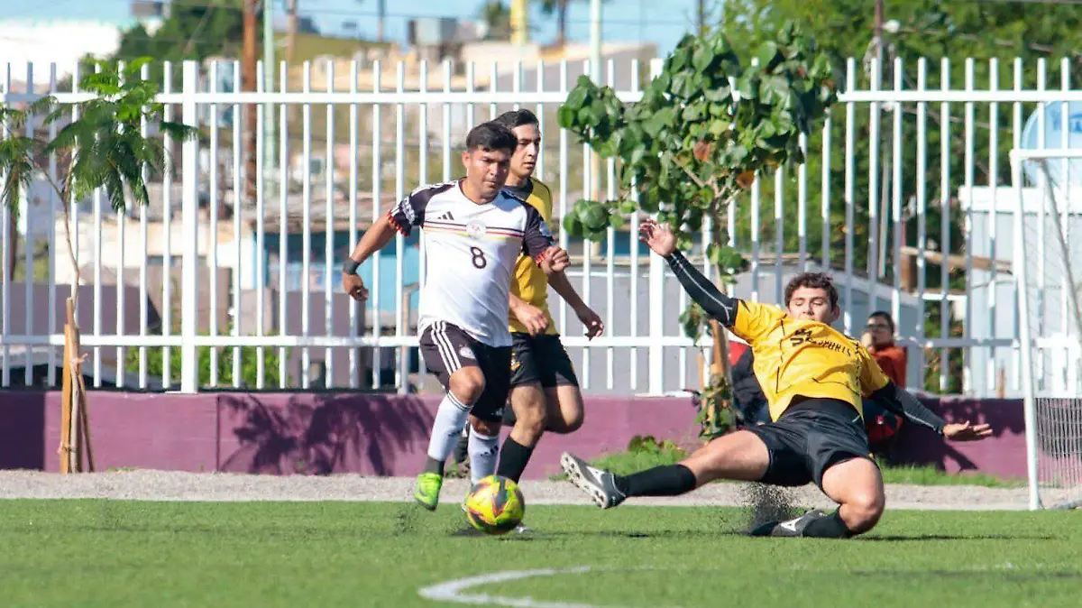 WhatsApp Image 2026-01-22 at 12.21.43 PM