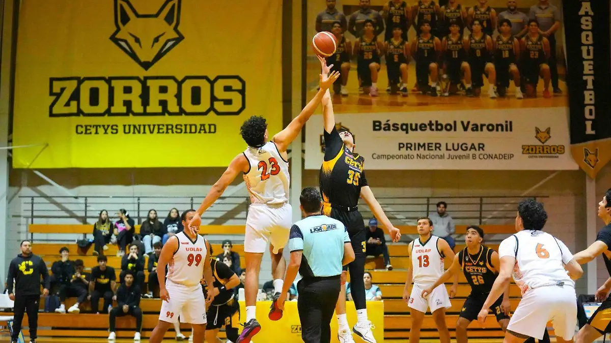 6eb2abdd-21de-4dfa-9461-65e5890cdb64