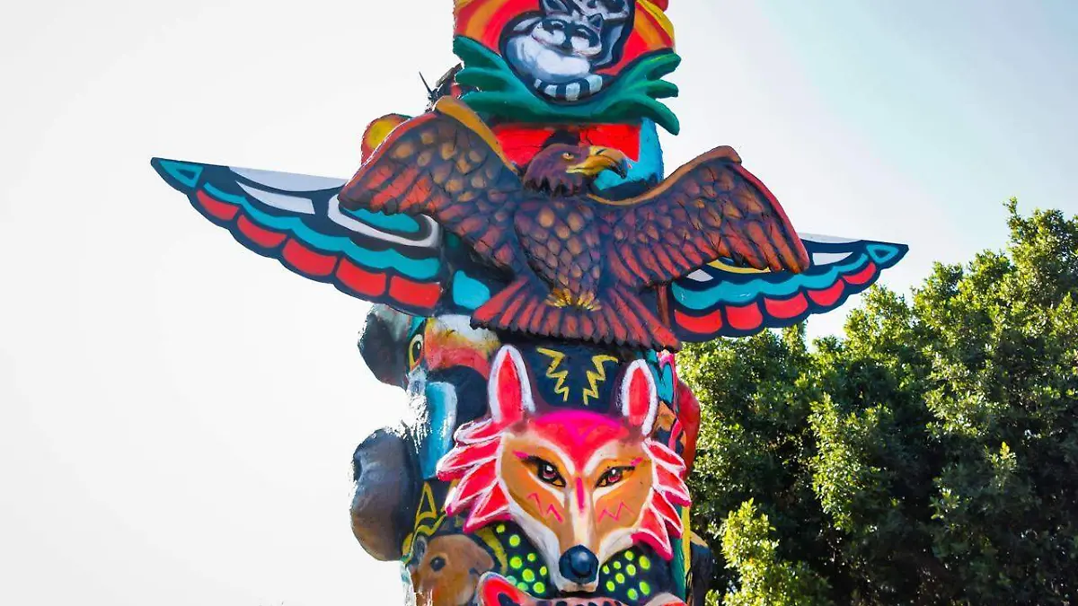 WhatsApp Image 2026-01-24 at 2.12.07 PM