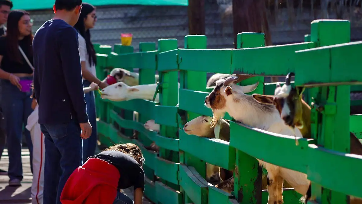 WhatsApp Image 2026-01-24 at 5.29.08 PM