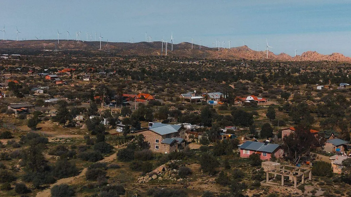 WhatsApp Image 2026-01-25 at 5.14.28 PM