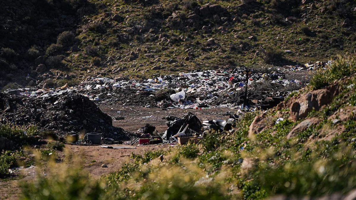 WhatsApp Image 2026-01-25 at 5.46.28 PM