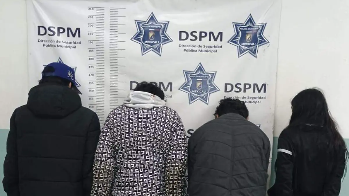 WhatsApp Image 2026-01-25 at 5.53.00 PM