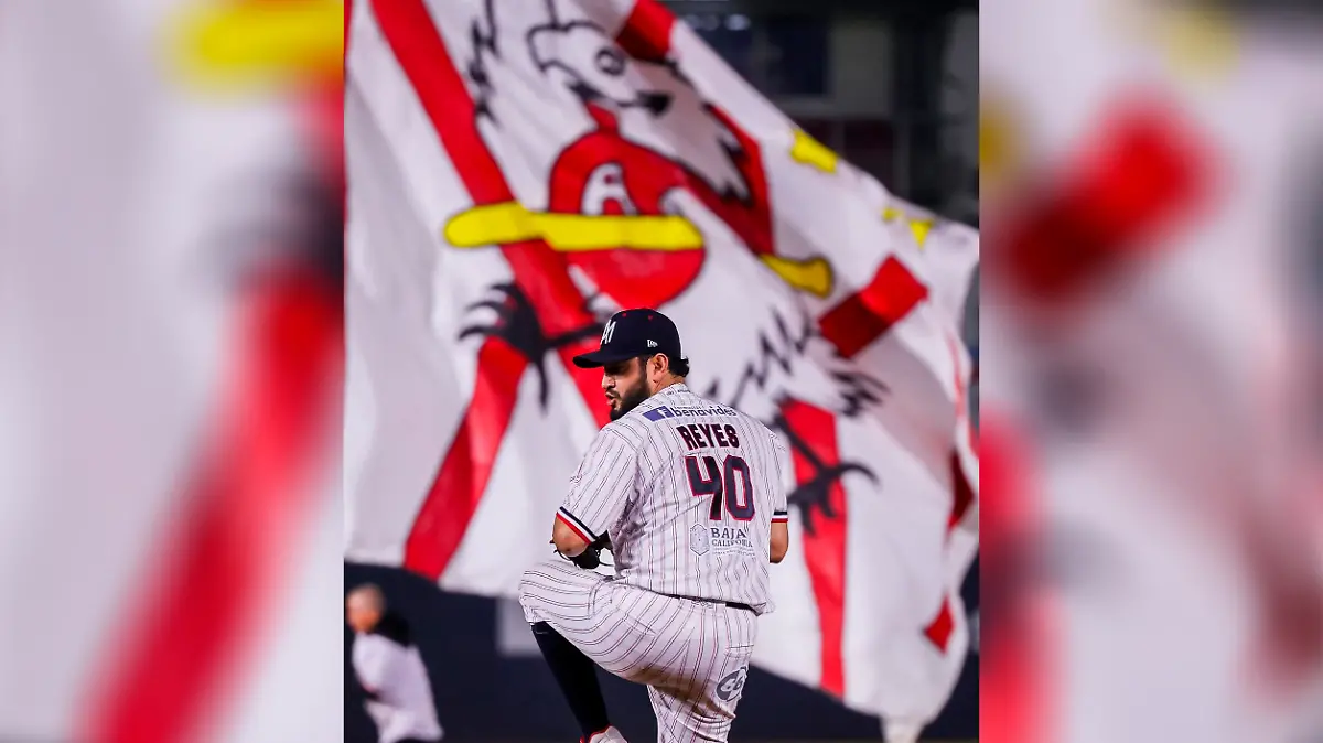 49d0bf06-8128-4fc4-a061-08398e59f5ee