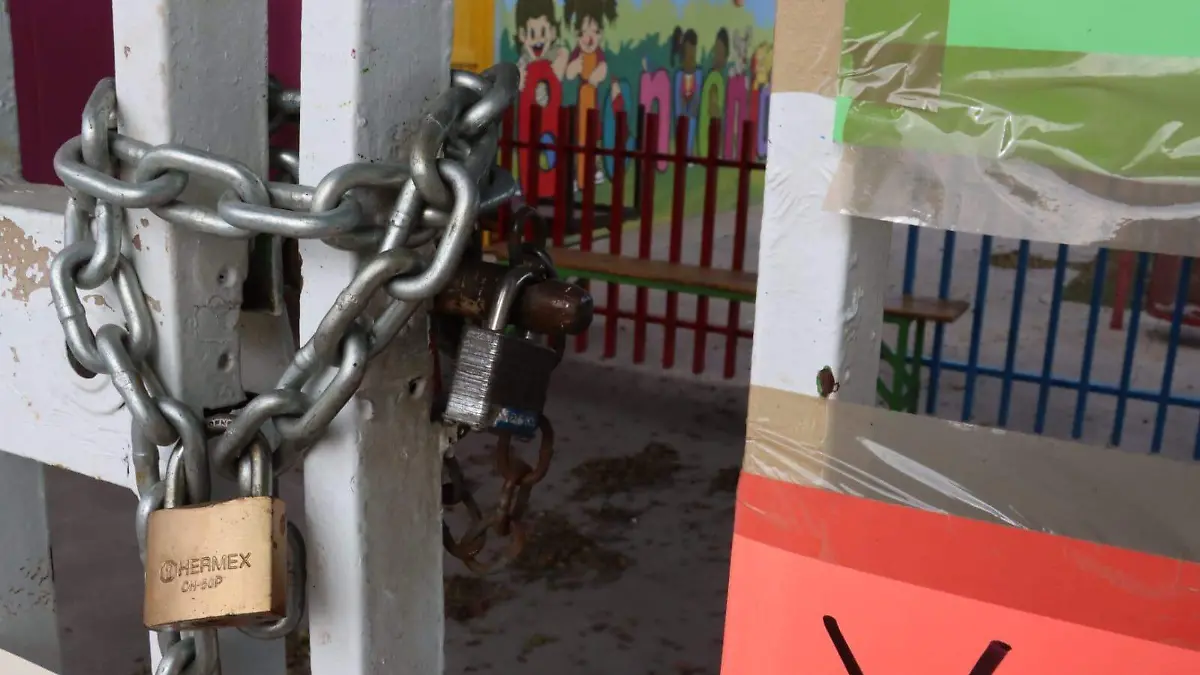 WhatsApp Image 2026-01-28 at 9.57.19 AM