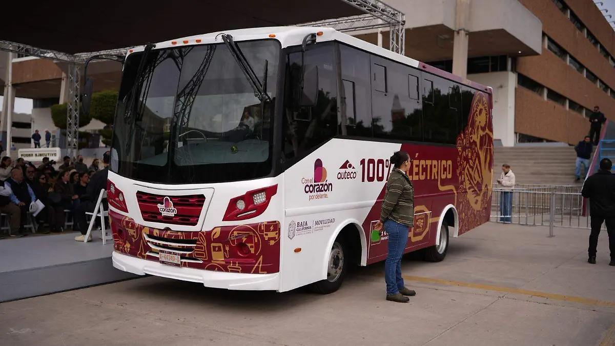 WhatsApp Image 2026-01-28 at 6.04.19 PM (1)