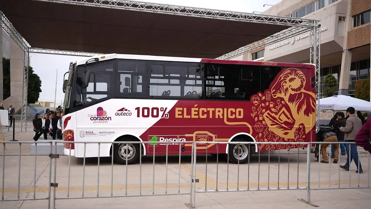 WhatsApp Image 2026-01-28 at 6.04.19 PM