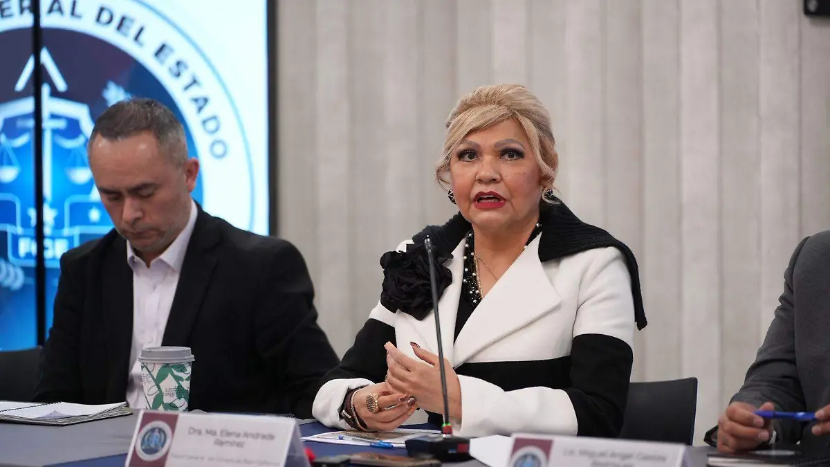 WhatsApp Image 2026-01-28 at 2.33.47 PM (1)