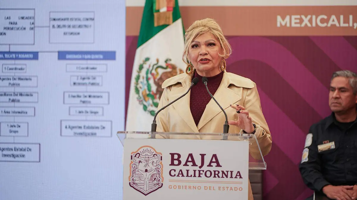 WhatsApp Image 2026-01-29 at 10.59.34 AM