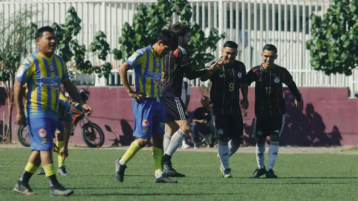 WhatsApp Image 2026-01-29 at 12.17.55