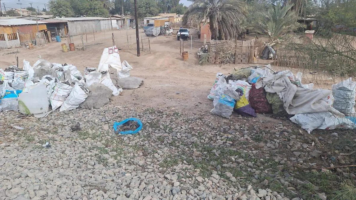 WhatsApp Image 2026-01-29 at 2.25.19 PM