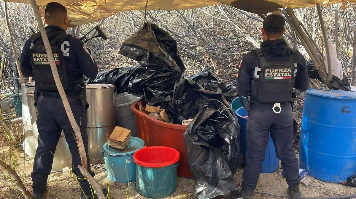 WhatsApp Image 2026-02-03 at 12.12.38 PM