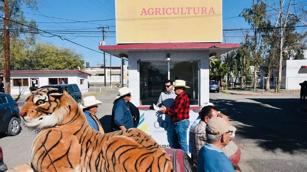 WhatsApp Image 2026-02-04 at 3.07.23 PM