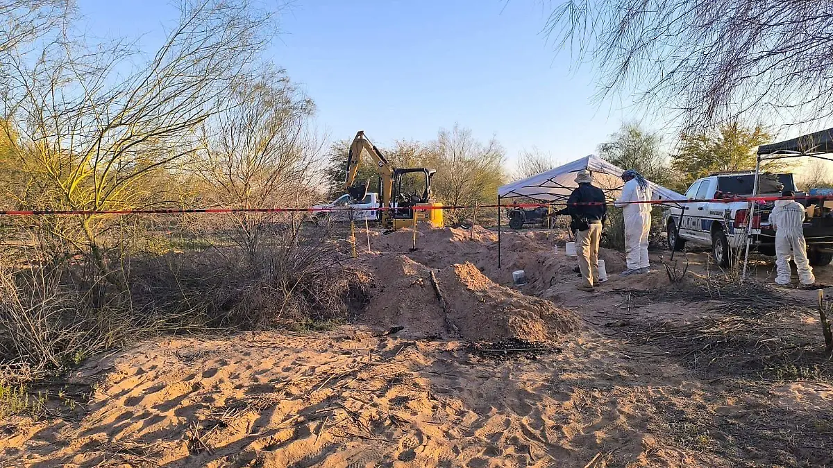 WEB-WhatsApp Image 2026-02-06 at 4.49.37 PM