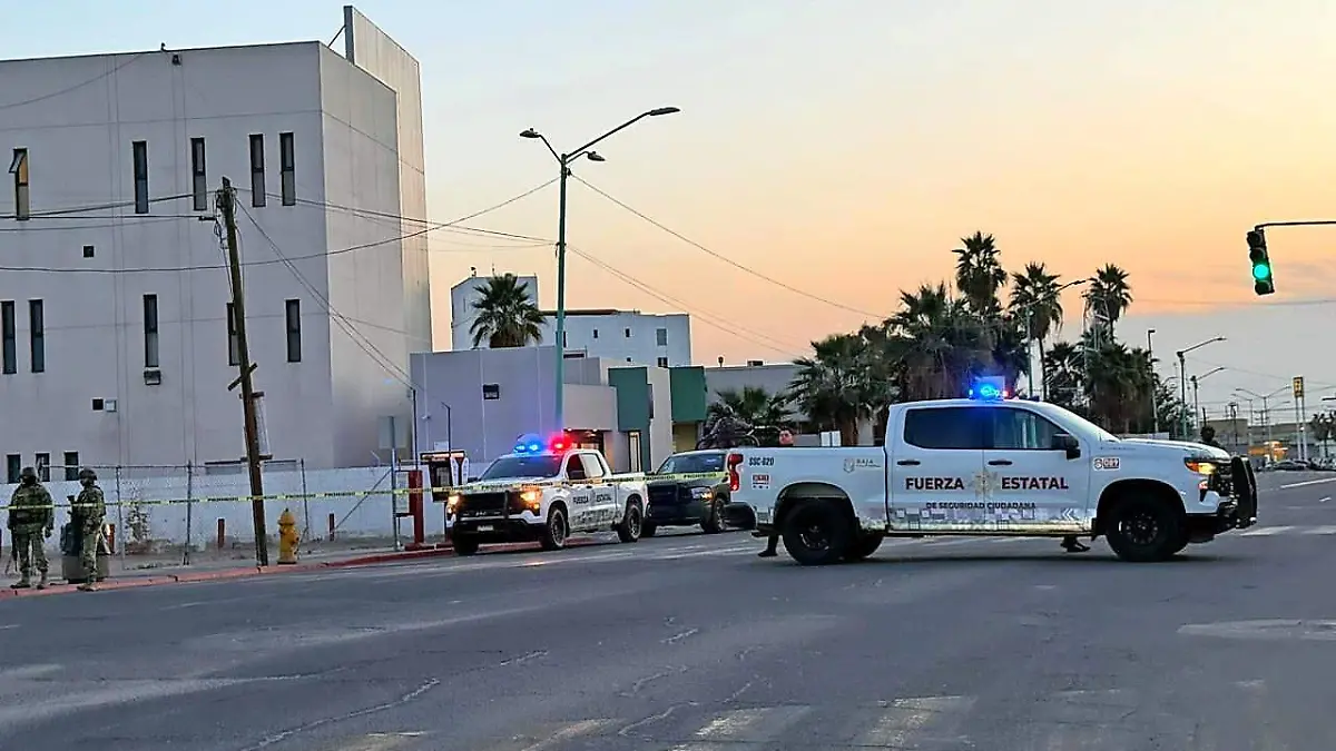 WEB-WhatsApp Image 2026-02-06 at 5.22.15 PM