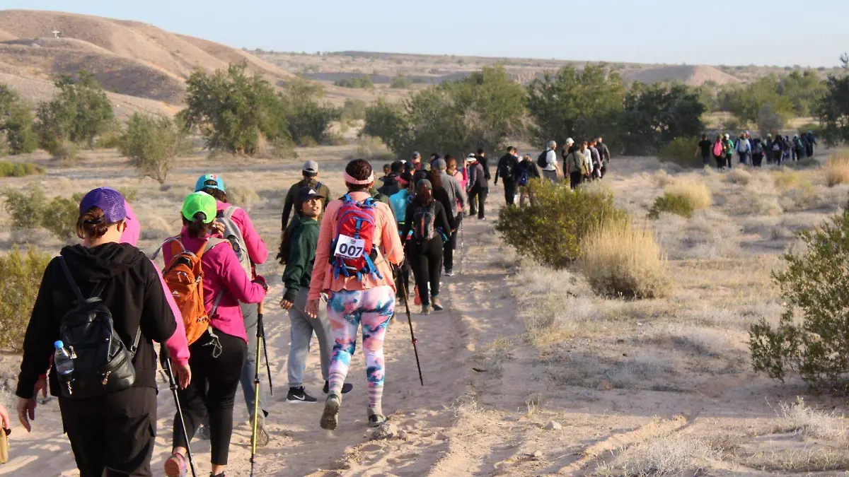 98d0cede-268a-467d-90fa-1d00f512394f