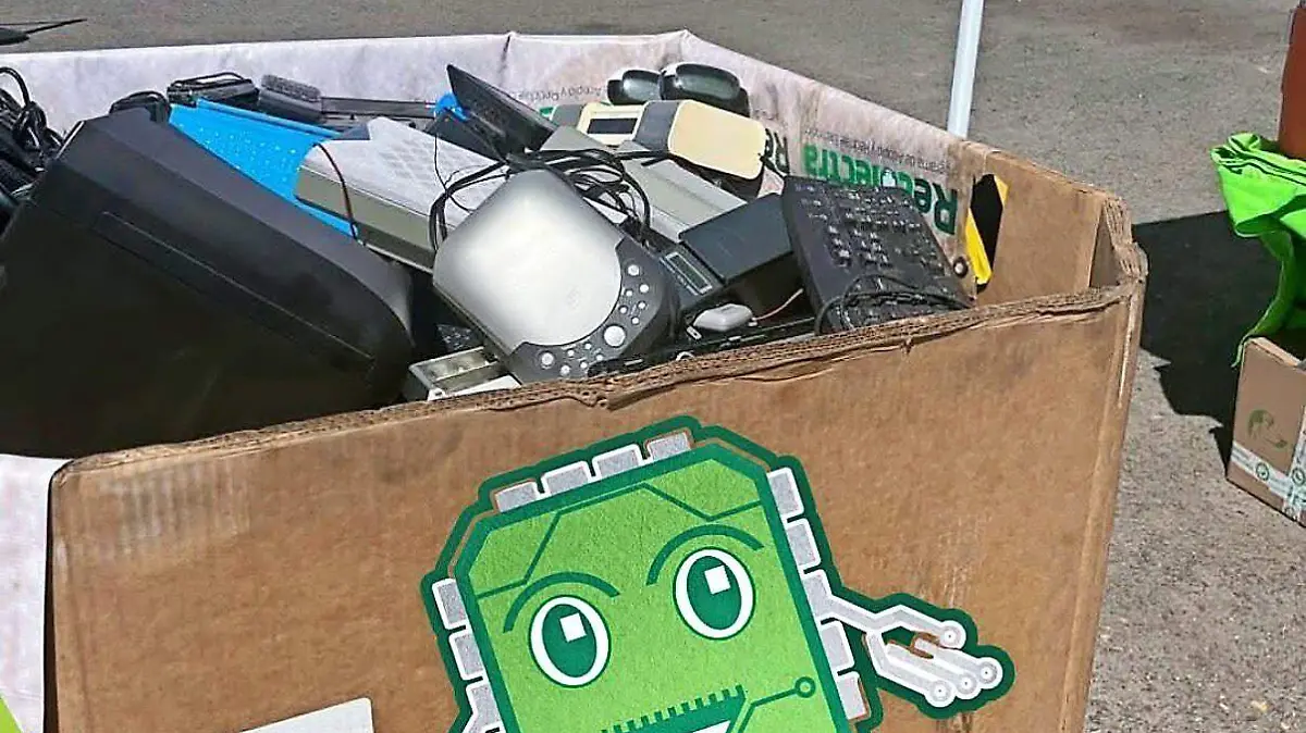 WEB-WhatsApp Image 2026-02-09 at 5.17.14 PM-1