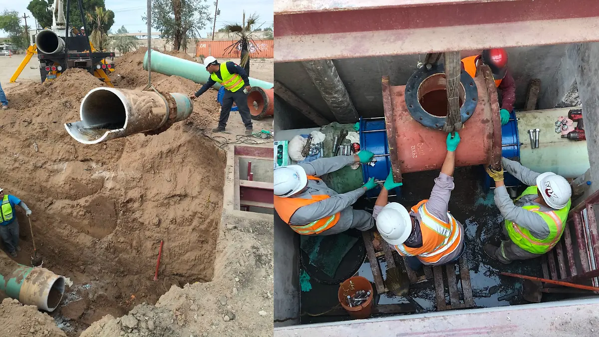 Diseño sin título - 2026-02-09T183623.629